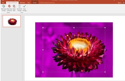 Presentation Base - PowerPoint Remove Background Image